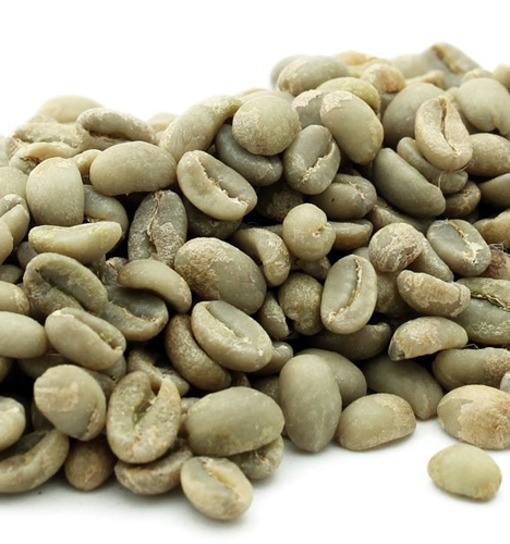 Amber Ventures Trading