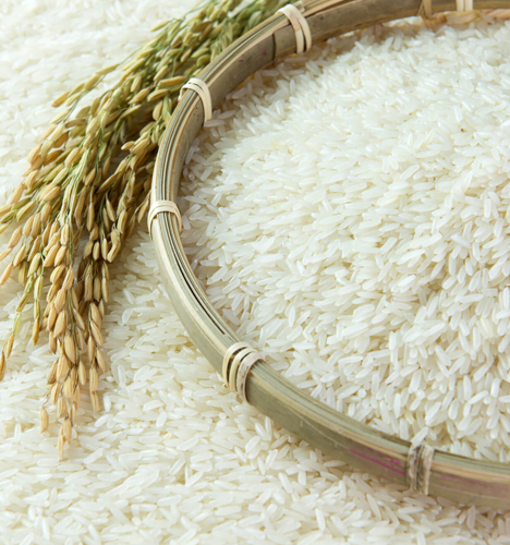 Amber Ventures Trading