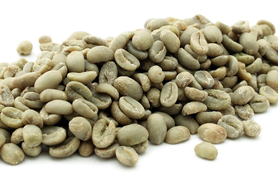 Amber Ventures Trading