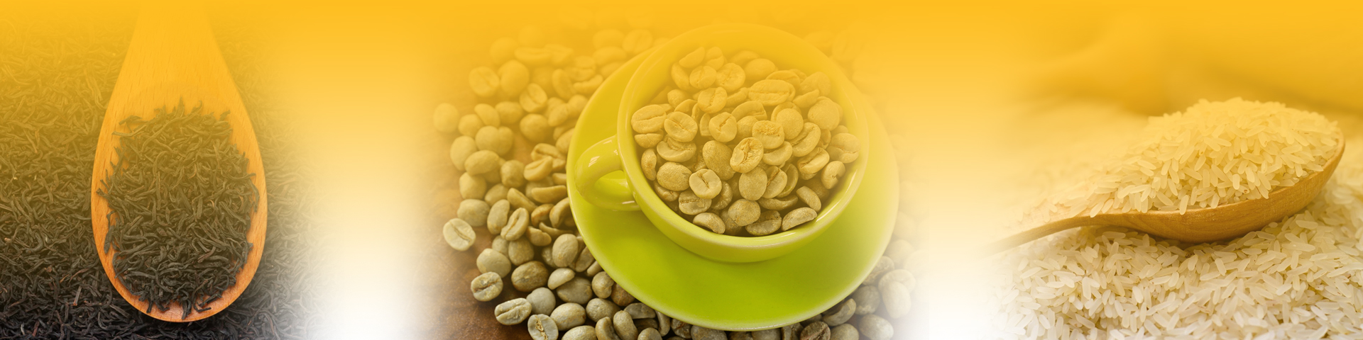 Amber Ventures Trading